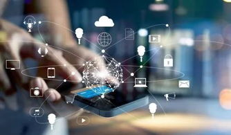 互联网视角下的牛牛福袋 模式创新的机遇与深层挑战